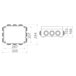 ΒΙΟΜΗΧΑΝΙΚΟ ΜΠΟΥΑΤ ΔΙΑΚΛΑΔΩΣΗΣ 305Χ244Χ168 IP55