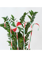 ΣΕΙΡΑ, 40 LED 5mm, 4 ΠΛΑΣΤΙΚΑ ΧΡΩΜΑΤΙΣΤΑ ΓΛΕΙΦΙΤΖΟΥΡΙΑ ΑΝΑ 50cm, ΗΛΙΑΚΟ ΣΥΛΛΕΚΤΗ ΜΕ ΑΙΣΘΗΤΗΡΑ ΦΩΤΟΣ, 8 ΠΡΟΓΡΑΜΜΑΤΑ, ΘΕΡΜΟ ΛΕΥΚΟ LED ΑΝΑ 50cm, ΠΡΟΕΚΤΑΣΗ ΠΑΡΟΧΗΣ 3m, IP44