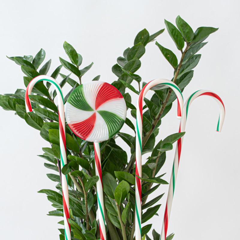 ΣΕΙΡΑ, 40 LED 5mm, 4 ΠΛΑΣΤΙΚΑ ΧΡΩΜΑΤΙΣΤΑ ΓΛΕΙΦΙΤΖΟΥΡΙΑ ΑΝΑ 50cm, ΗΛΙΑΚΟ ΣΥΛΛΕΚΤΗ ΜΕ ΑΙΣΘΗΤΗΡΑ ΦΩΤΟΣ, 8 ΠΡΟΓΡΑΜΜΑΤΑ, ΘΕΡΜΟ ΛΕΥΚΟ LED ΑΝΑ 50cm, ΠΡΟΕΚΤΑΣΗ ΠΑΡΟΧΗΣ 3m, IP44