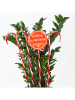 ΣΕΙΡΑ, 40 LED 5mm, 4 ΠΛΑΣΤΙΚΑ ΚΟΚΚΙΝΑ ΓΛΕΙΦΙΤΖΟΥΡΙΑ 70cm, ΗΛΙΑΚΟ ΣΥΛΛΕΚΤΗ ΜΕ ΑΙΣΘΗΤΗΡΑ ΦΩΤΟΣ, 8 ΠΡΟΓΡΑΜΜΑΤΑ, ΘΕΡΜΟ ΛΕΥΚΟ LED ΑΝΑ 50cm, IP44