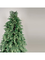 ΔΕΝΤΡΟ ΕΛΑΤΟ, ΓΑΛΛΙΑ, 220cm