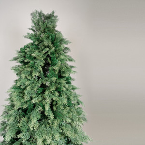 ΔΕΝΤΡΟ ΕΛΑΤΟ, ΓΑΛΛΙΑ, 220cm