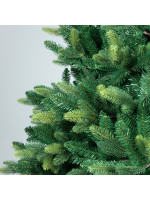 ΔΕΝΤΡΟ ΕΛΑΤΟ, ΠΟΡΤΟΓΑΛΙΑ, 220cm