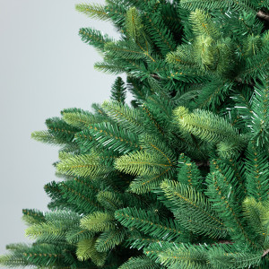 ΔΕΝΤΡΟ ΕΛΑΤΟ, ΠΟΡΤΟΓΑΛΙΑ, 220cm