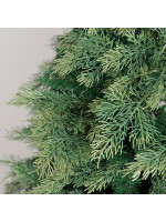 ΔΕΝΤΡΟ ΕΛΑΤΟ, ΠΟΡΤΟΓΑΛΙΑ, 220cm