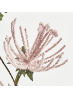 ΚΛΑΔΙ, ΜΕ ΡΟΖ ΛΟΥΛΟΥΔΙΑ, 51cm