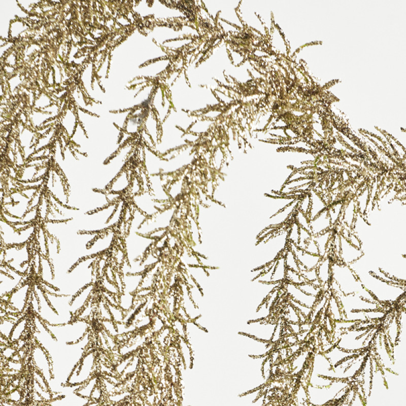 ΚΛΑΔΙ, ΣΑΜΠΑΝΙ, 68cm