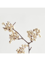 ΚΛΑΔΙ, ΜΕ ΣΑΜΠΑΝΙ ΠΕΡΛΕΣ, 68cm