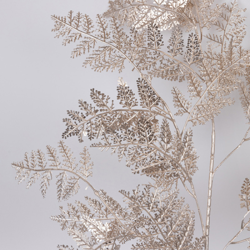 ΚΛΑΔΙ ΦΤΕΡΗ, ΣΑΜΠΑΝΙ, 107cm