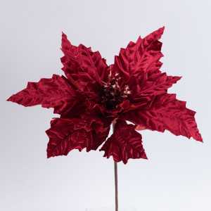 ΒΕΛΟΥΔΙΝΟ ΑΛΕΞΑΝΔΡΙΝΟ ΜΠΟΡΝΤΟ, 37x24cm