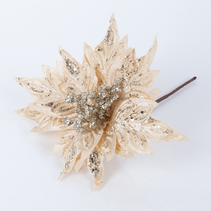 ΑΛΕΞΑΝΔΡΙΝΟ, ΣΑΜΠΑΝΙ, 25cm