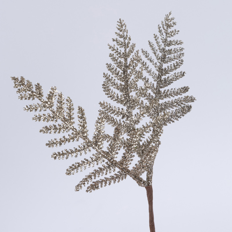 ΦΤΕΡΗ, ΣΑΜΠΑΝΙ, ΣΕΤ 2ΤΜΧ, 28cm (TOP 120)