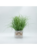 ΚΑΣΠΟ ΑΠΌ ΤΣΙΜΕΝΤΟ, ΠΡΟΣΩΠΟ ΑΗ ΒΑΣΙΛΗ, 17x15.5x13cm