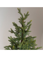 ΔΕΝΤΡΟ ΕΛΑΤΟ, PE ΜΕ ΞΥΛΙΝΟ ΚΟΡΜΟ, ΗΡΑ, 230cm