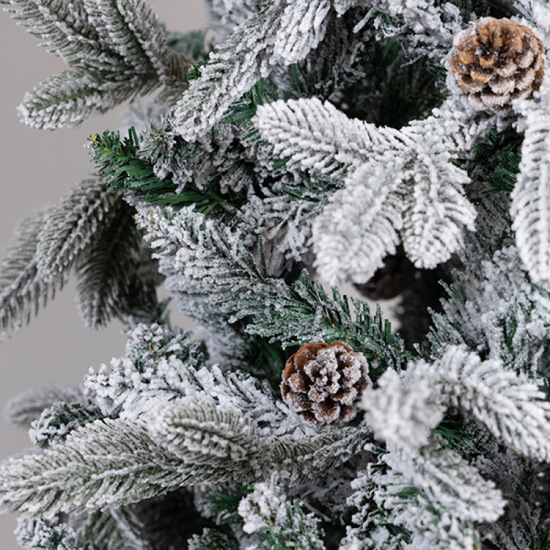 ΔΕΝΤΡΟ ΕΛΑΤΟ, ΧΙΟΝΙΣΜΕΝΟ ΜΕ ΚΟΥΚΟΥΝΑΡΙΑ, ΑΘΗΝΑ, 210cm