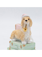 ΣΤΟΛΙΔΙ ΠΟΛΥΡΕΖΙΝ, ΣΚΥΛΑΚΙ ΣΕ ΒΑΛΙΤΣΑ, ΠΑΛ ΧΡΩΜΑ, 6x10cm