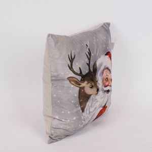 ΜΑΞΙΛΑΡΙ ΜΕ ΑΗ ΒΑΣΙΛΗ ΚΑΙ ΤΑΡΑΝΔΟ, 40x40cm