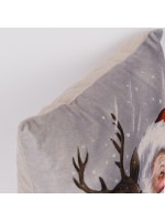 ΜΑΞΙΛΑΡΙ ΜΕ ΑΗ ΒΑΣΙΛΗ ΚΑΙ ΤΑΡΑΝΔΟ, 40x40cm