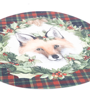 ΣΟΥΠΛΑ ΜΕ ΑΛΕΠΟΥ, 40cm