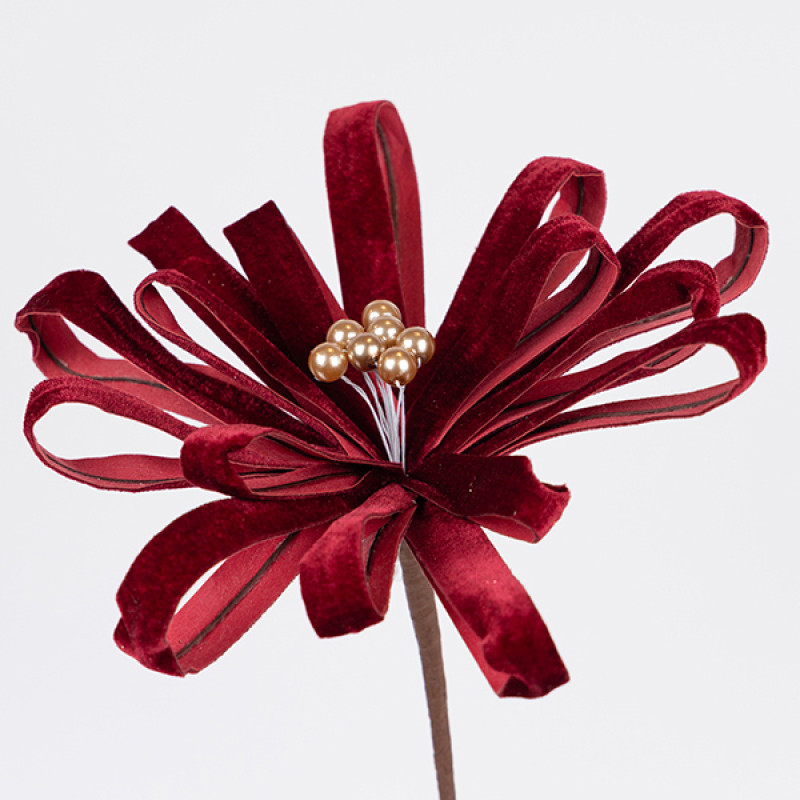 ΛΟΥΛΟΥΔΙ ΦΙΟΓΚΟΣ, ΜΠΟΡΝΤΟ, 27x45cm