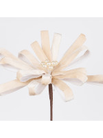 ΛΟΥΛΟΥΔΙ ΦΙΟΓΚΟΣ, ΣΑΜΠΑΝΙ, 25x45cm