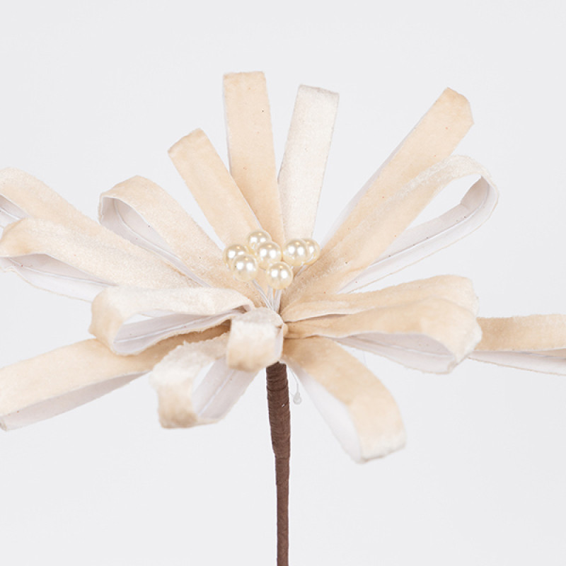 ΛΟΥΛΟΥΔΙ ΦΙΟΓΚΟΣ, ΣΑΜΠΑΝΙ, 25x45cm