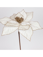 ΑΛΕΞΑΝΔΡΙΝΟ ΙΒΟΥΑΡ, 30x44cm