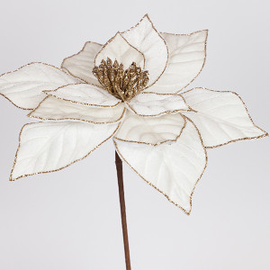 ΑΛΕΞΑΝΔΡΙΝΟ ΙΒΟΥΑΡ, 30x44cm