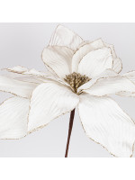 ΑΛΕΞΑΝΔΡΙΝΟ GRANDE, ΙΒΟΥΑΡ, 50x45cm