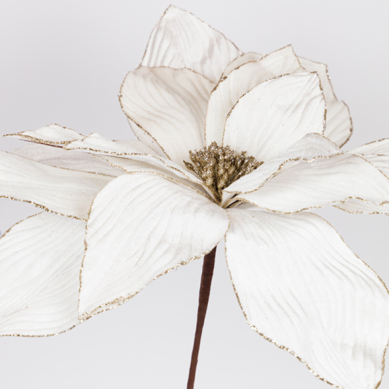 ΑΛΕΞΑΝΔΡΙΝΟ GRANDE, ΙΒΟΥΑΡ, 50x45cm