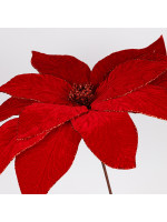 ΑΛΕΞΑΝΔΡΙΝΟ GRANDE, ΚΟΚΚΙΝΟ, 50x52cm