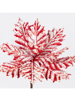 ΑΛΕΞΑΝΔΡΙΝΟ CANDY, ΠΑΓΩΜΕΝΟ, 27x45cm