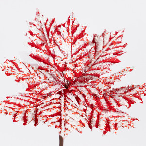 ΑΛΕΞΑΝΔΡΙΝΟ CANDY, ΠΑΓΩΜΕΝΟ, 27x45cm