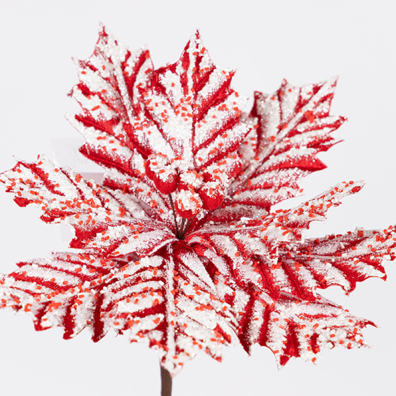 ΑΛΕΞΑΝΔΡΙΝΟ CANDY, ΠΑΓΩΜΕΝΟ, 27x45cm