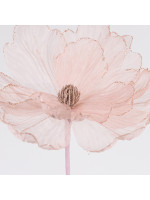 ΑΝΕΜΩΝΗ, ΡΟΖ, 26x45cm