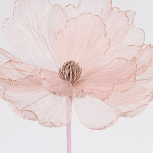 ΑΝΕΜΩΝΗ, ΡΟΖ, 26x45cm