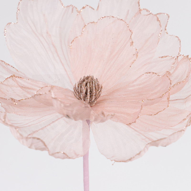 ΑΝΕΜΩΝΗ, ΡΟΖ, 26x45cm