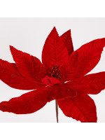 ΑΛΕΞΑΝΔΡΙΝΟ, ΒΕΛΟΥΔΙΝΟ, ΟΛΟ ΚΟΚΚΙΝΟ, 30x24cm