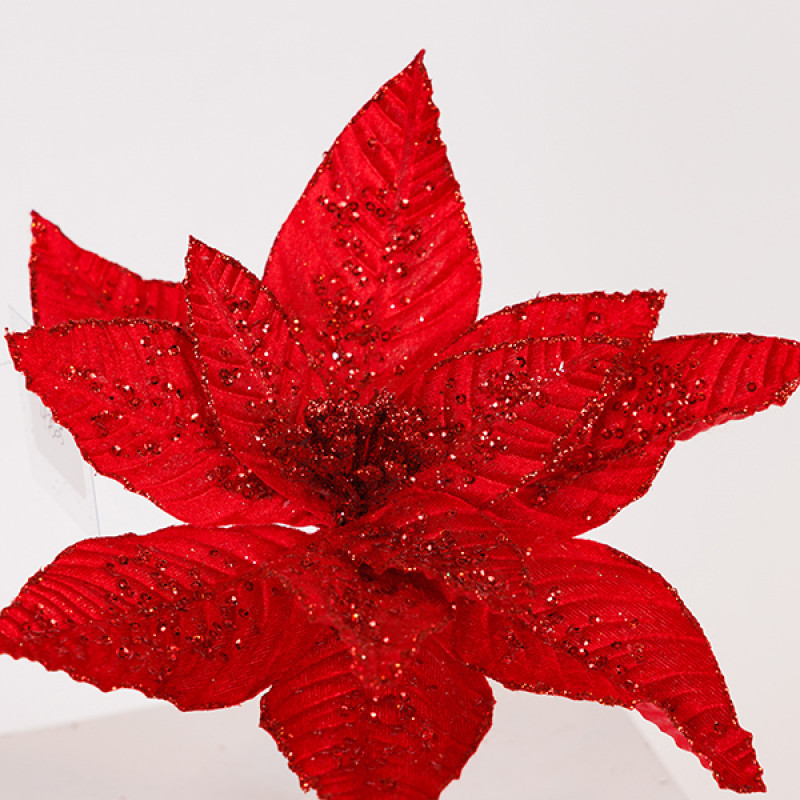 ΛΟΥΛΟΥΔΙ ΚΟΚΚΙΝΟ, ΜΕ ΚΟΚΚΙΝΕΣ ΧΑΝΤΡΕΣ, 27x15cm