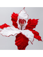 ΑΛΕΞΑΝΔΡΙΝΟ CANDY, 27x20cm