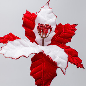 ΑΛΕΞΑΝΔΡΙΝΟ CANDY, 27x20cm