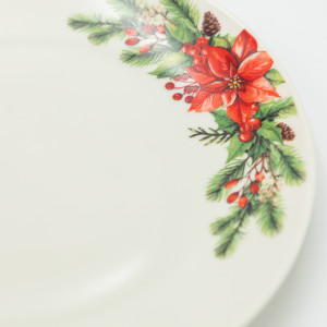 ΠΙΑΤΟ ΜΕ ΚΟΚΚΙΝΟ ΑΛΕΞΑΝΔΡΙΝΟ, ΣΕΤ 2ΤΜΧ, 20cm